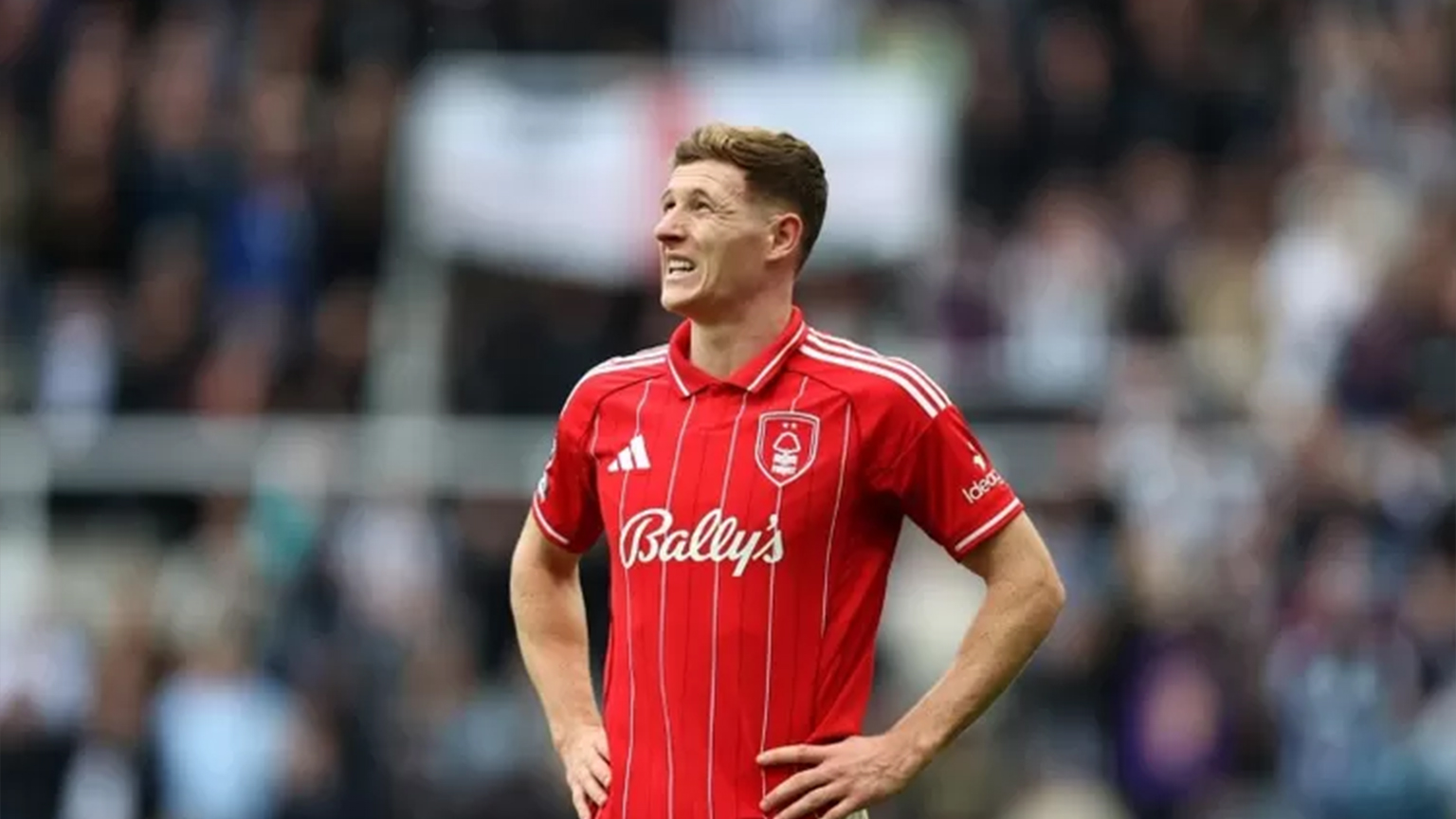 Transfer Elliot Anderson Nottingham Forest
